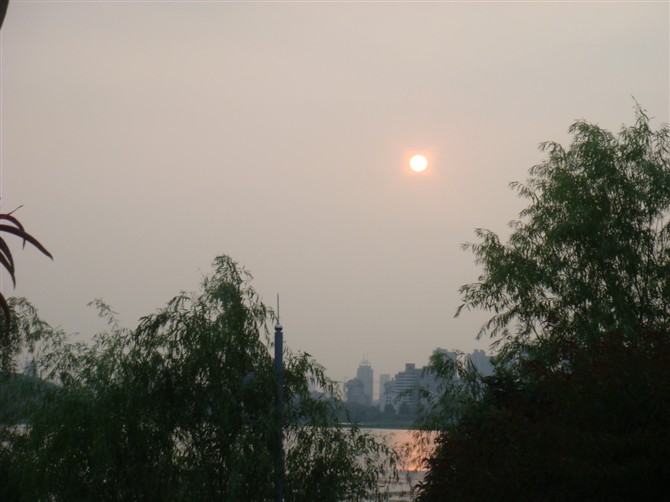 psbca6ilor111.jpg