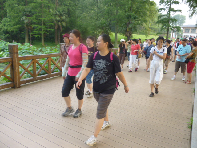 p1050775.jpg