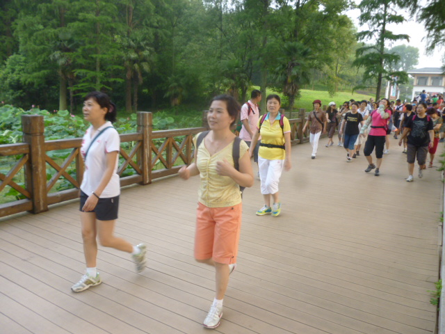 p1050774.jpg