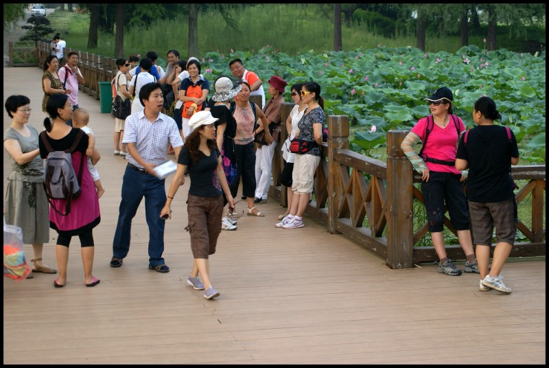 conew_dsc08254_conew1.jpg