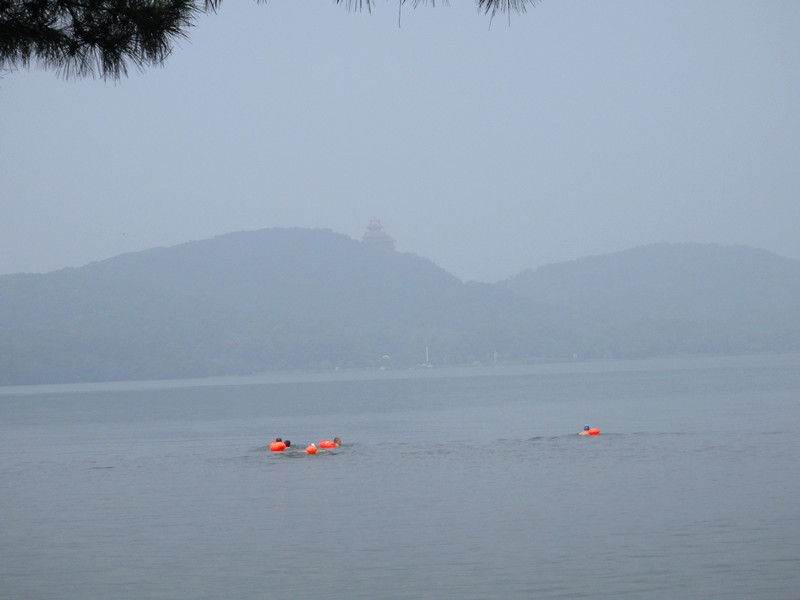dsc01374_.jpg