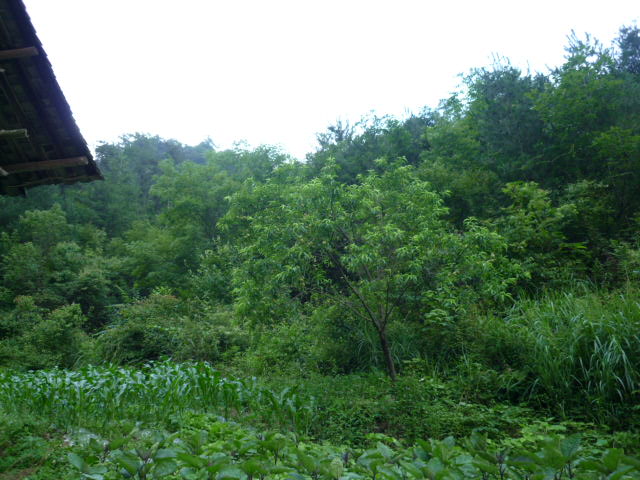 p1070726.jpg