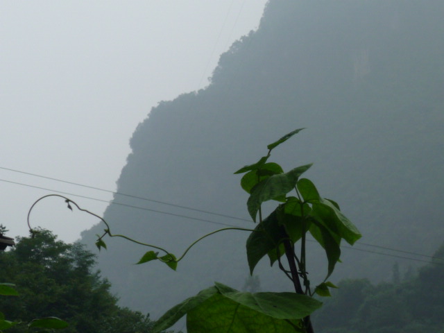 p1080063.jpg