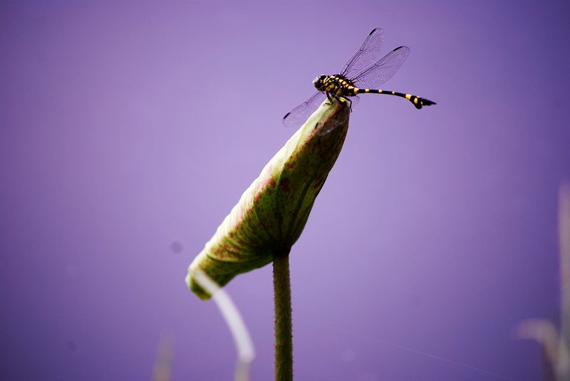 neo_img_���� 420_conew1.jpg