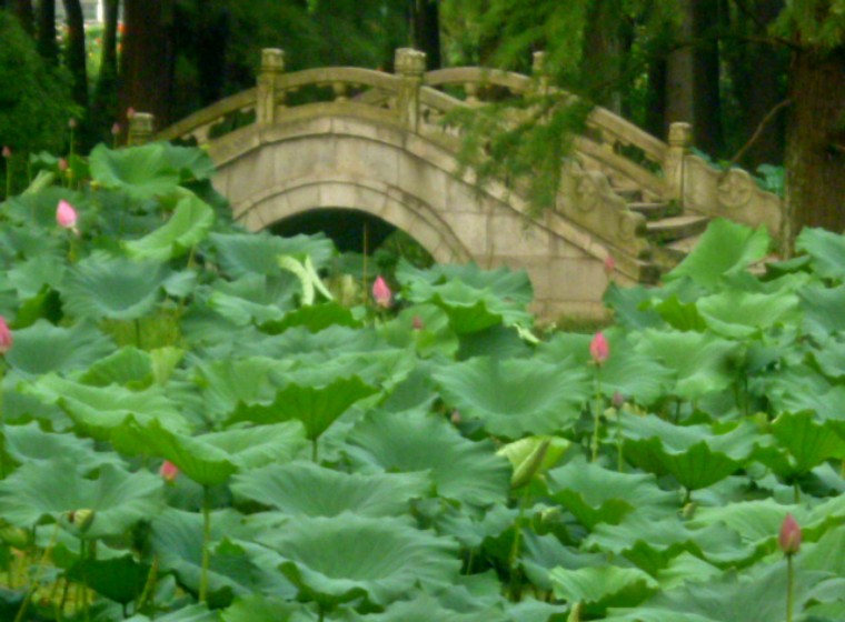 conew_p1050705.jpg