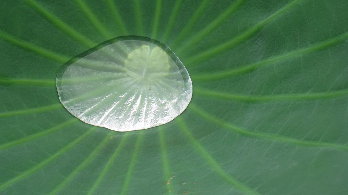 С Ƭ 032.jpg