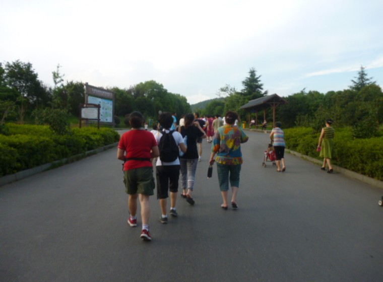 conew_p1060004.jpg