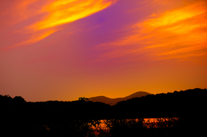 _dsc3297.jpg