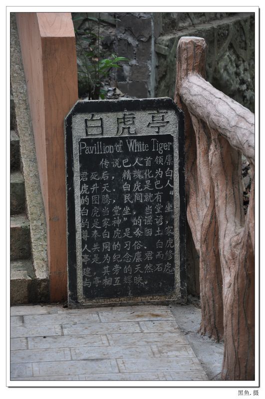 μ2 (52).jpg