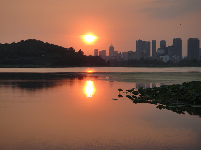 dsc02133_.jpg