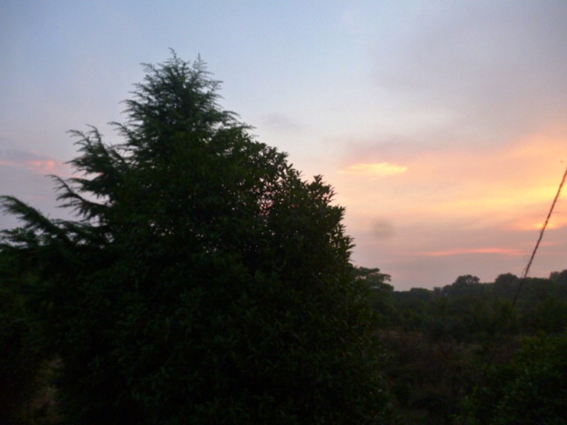 conew_p1060053.jpg