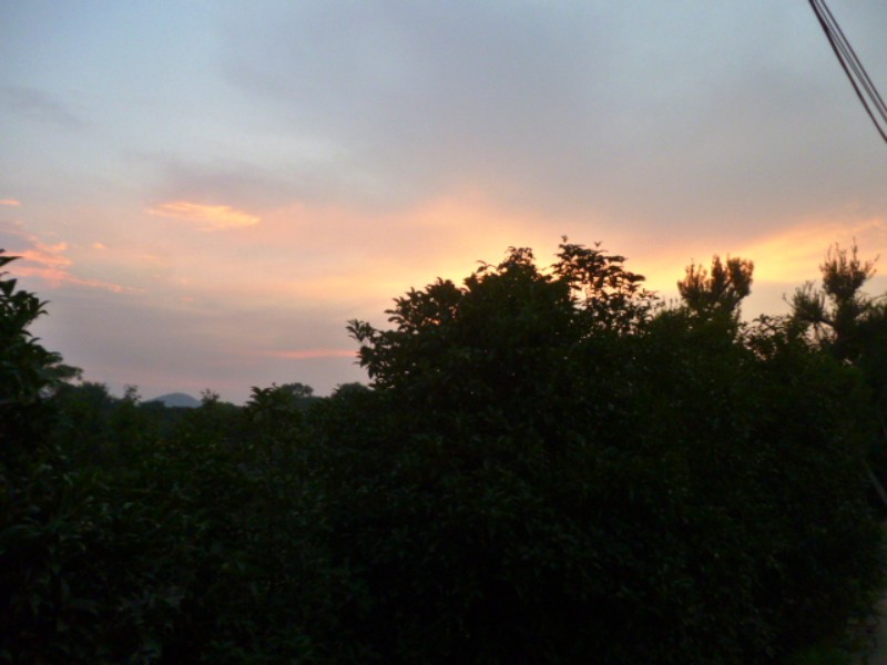conew_p1060054.jpg