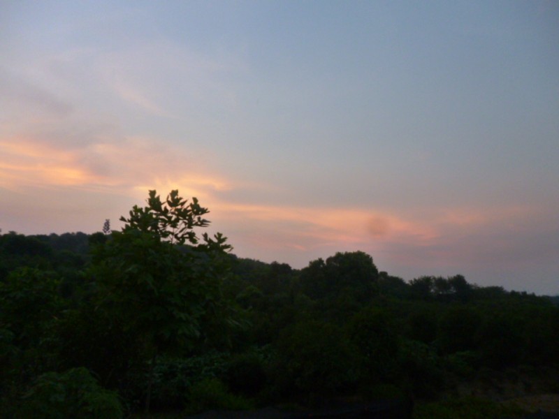 conew_p1060055.jpg