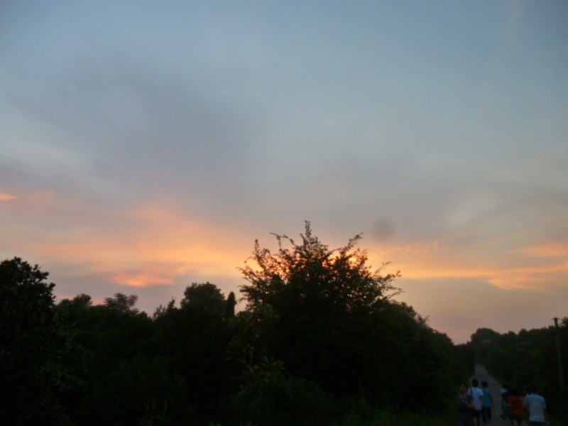 conew_p1060057.jpg