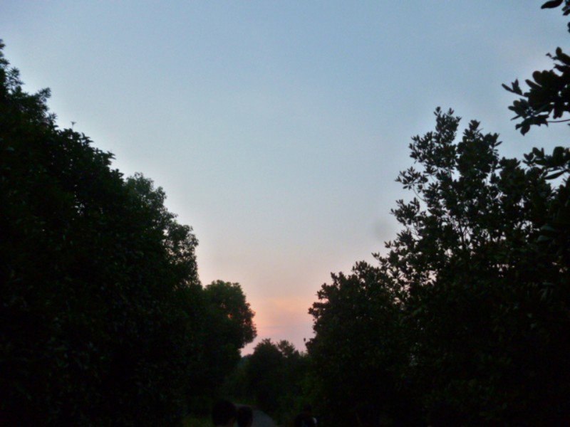conew_p1060062.jpg