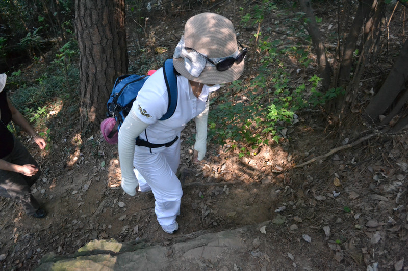 dsc_0090.jpg