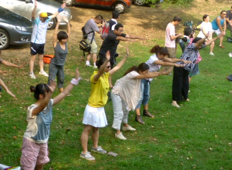 conew_p1060106.jpg