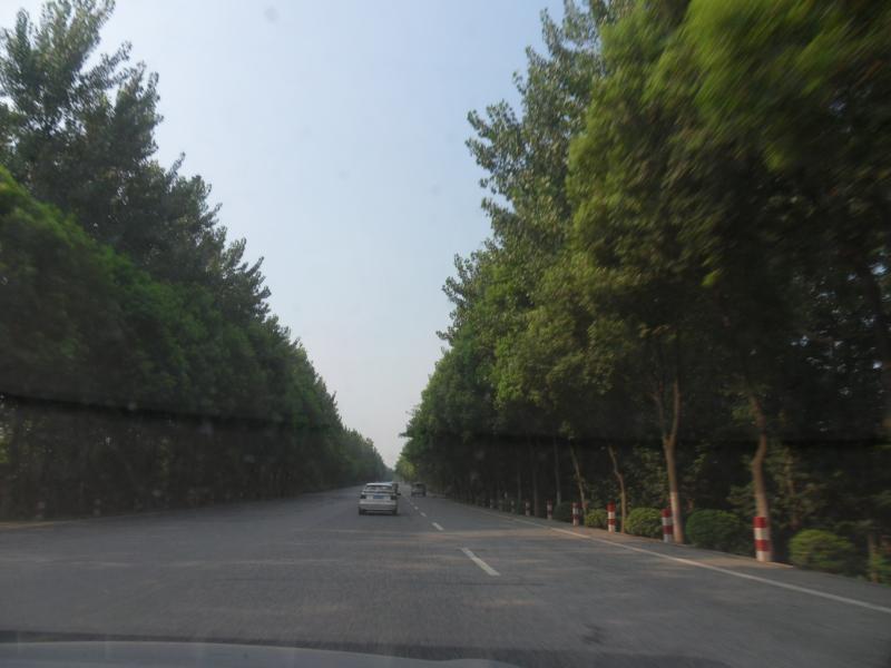 sdc10074.jpg