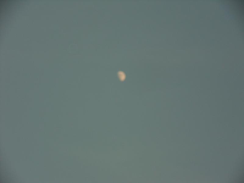 sdc10131.jpg