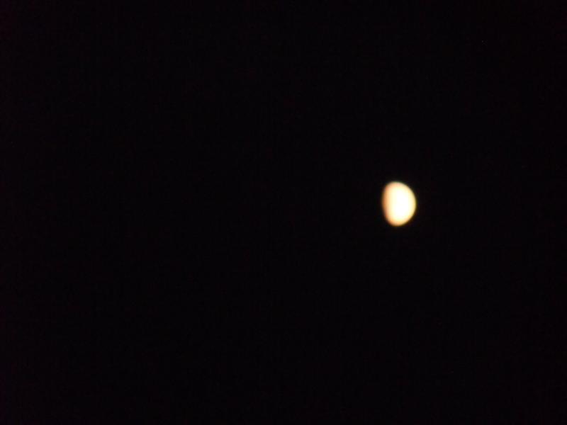sdc10137.jpg
