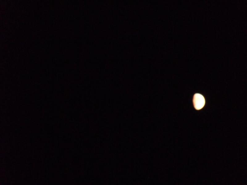 sdc10136.jpg