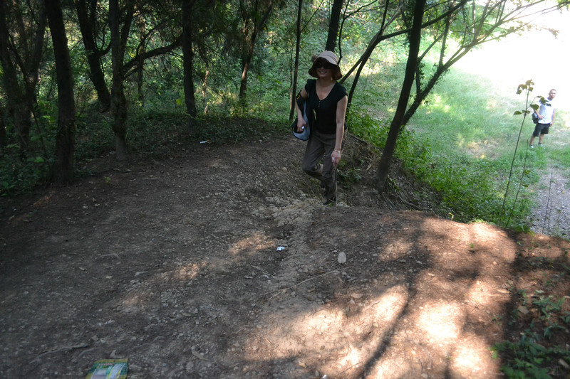 dsc_0106.jpg