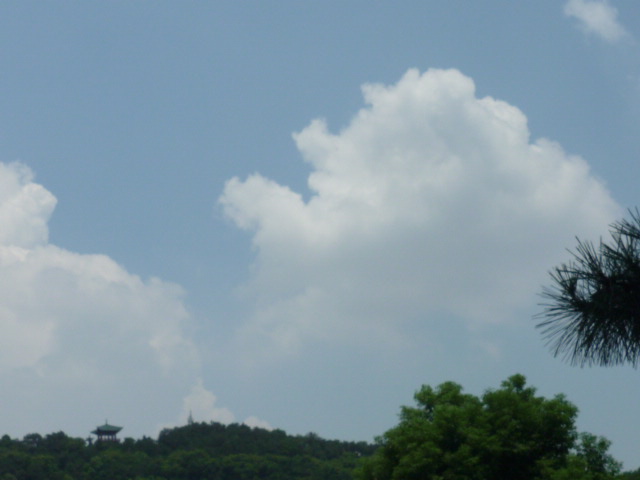 p1080288.jpg