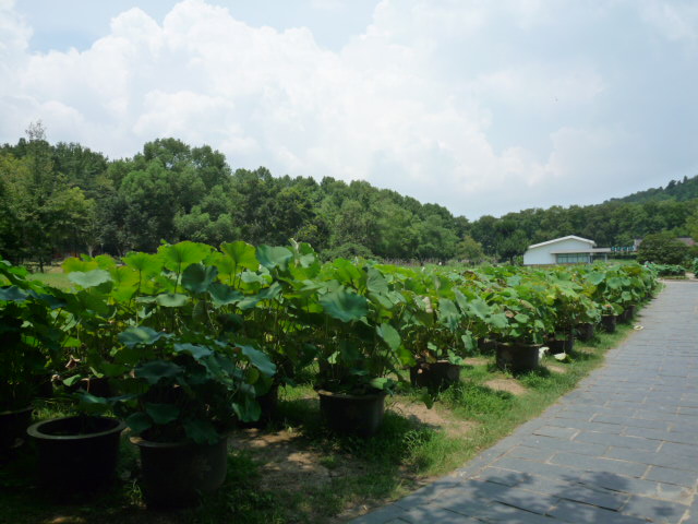 p1080264.jpg