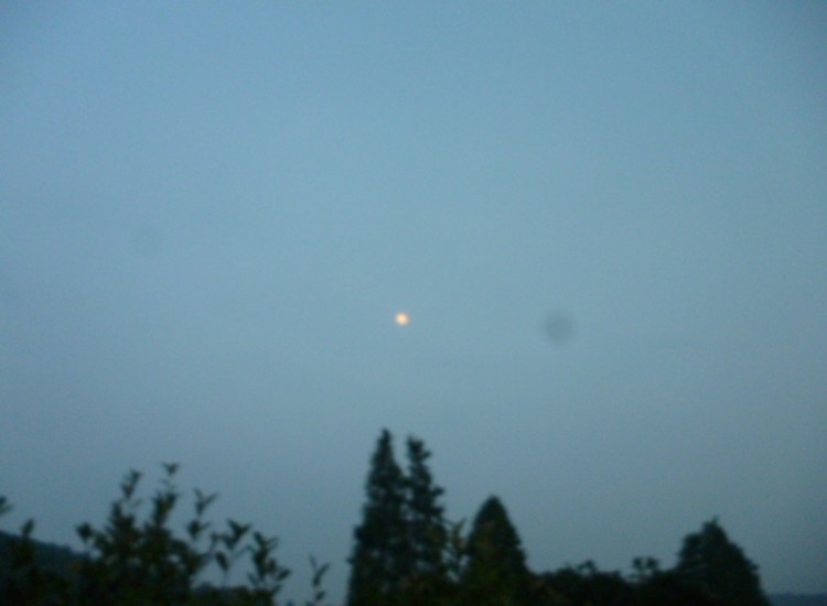 conew_p1060195.jpg