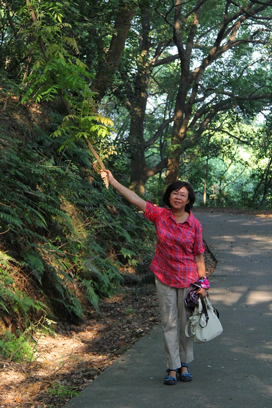 img_4925_����.jpg