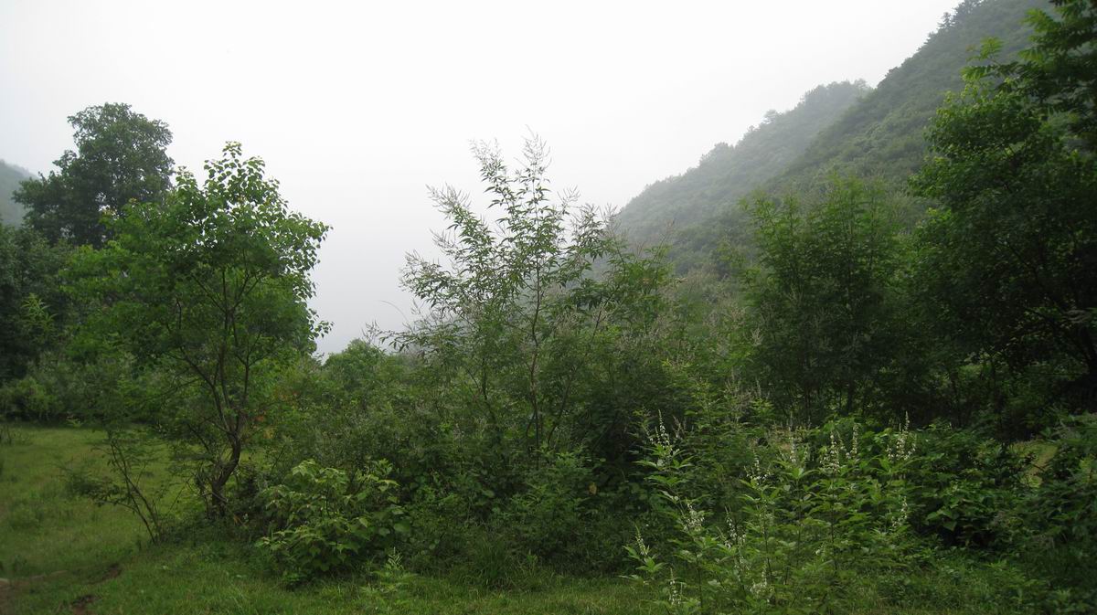 ������С ��Ƭ 018.jpg