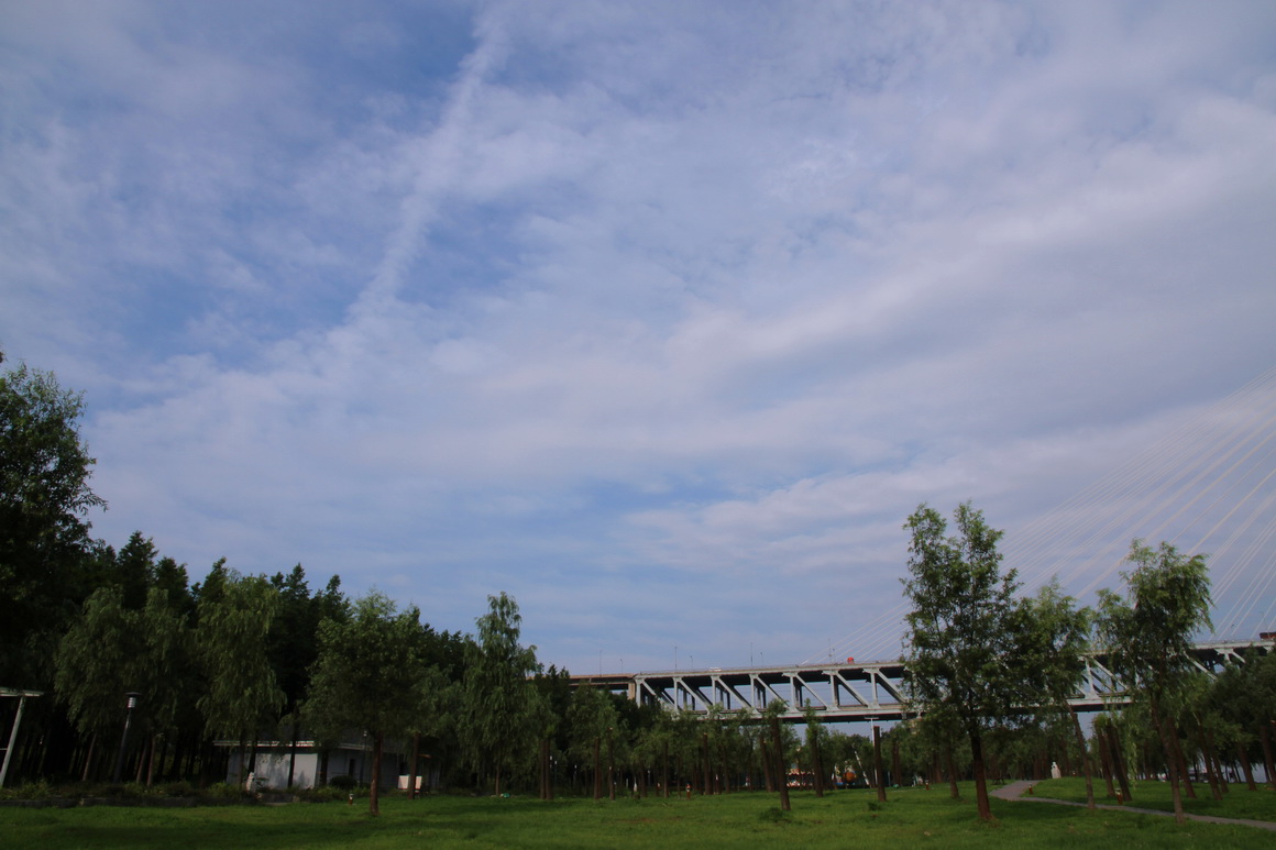 w12.jpg