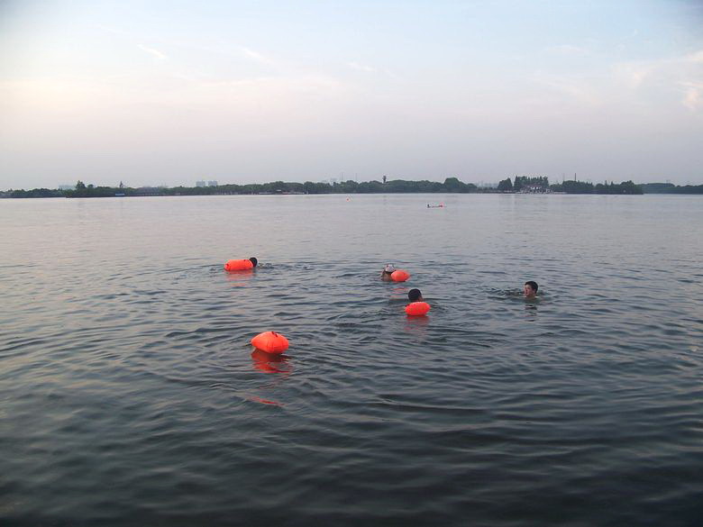 neo_img_100_7183.jpg