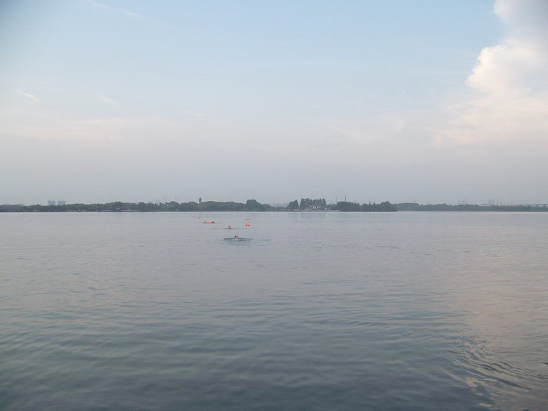 neo_img_100_7186.jpg