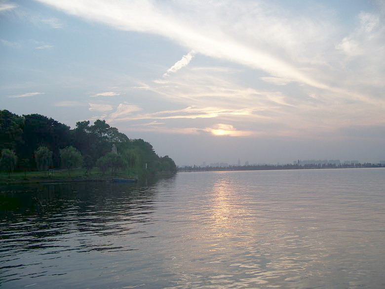 neo_img_100_7187.jpg