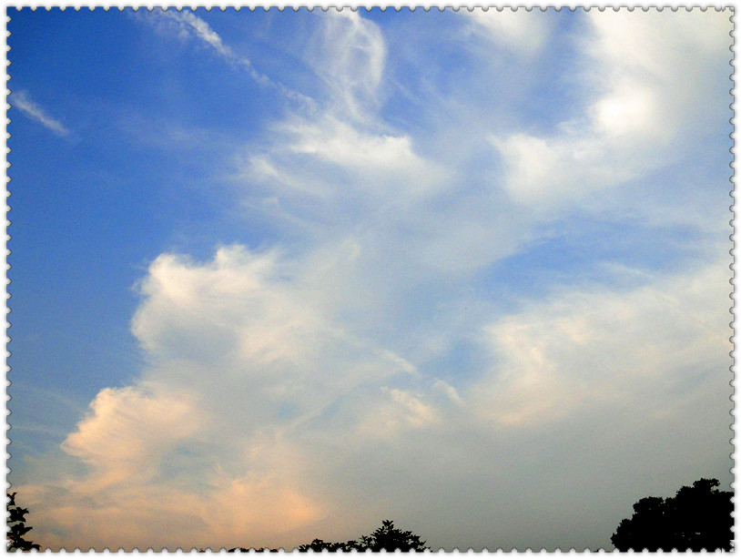 dsc01597_.jpg