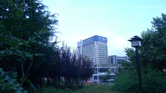 δ31.jpg