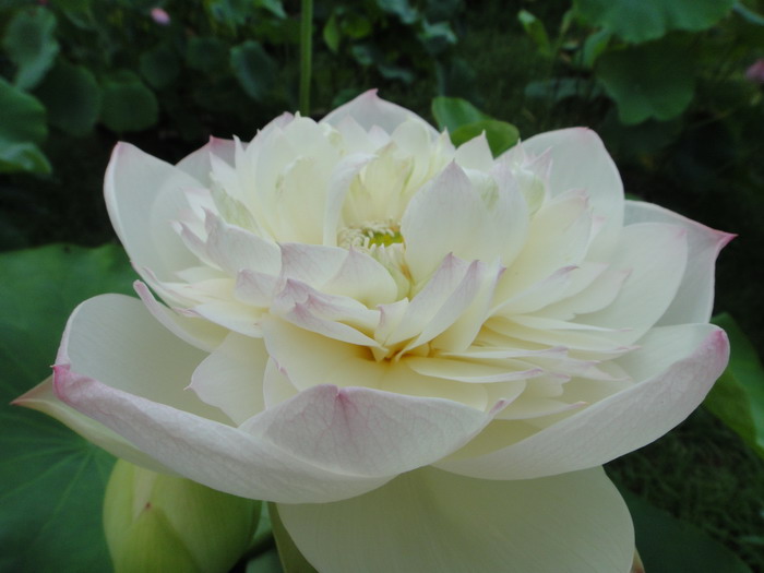 dsc03824.jpg