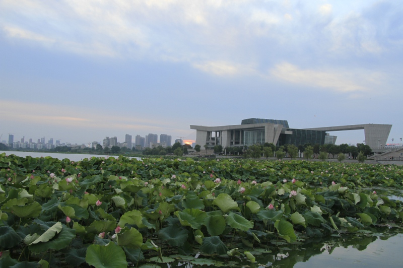 _mg_0704.jpg