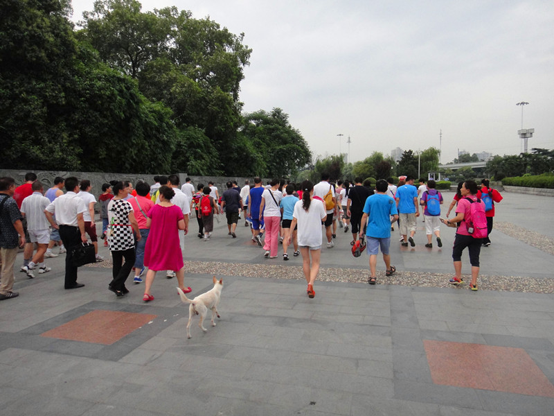dsc01649_.jpg