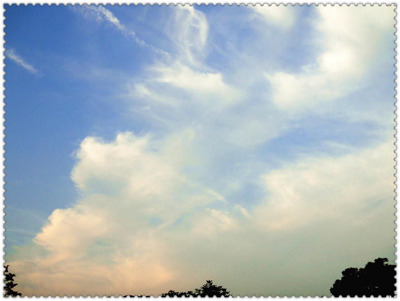 dsc01597_.jpg