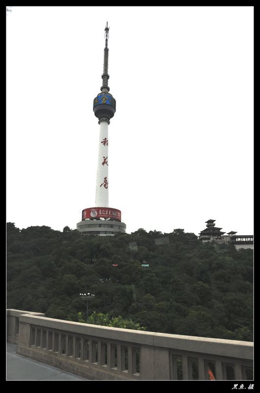 dsc_0015.jpg