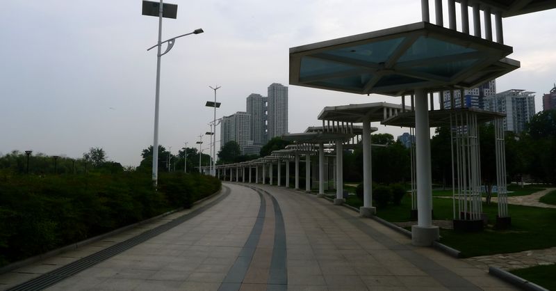 p1130586.jpg