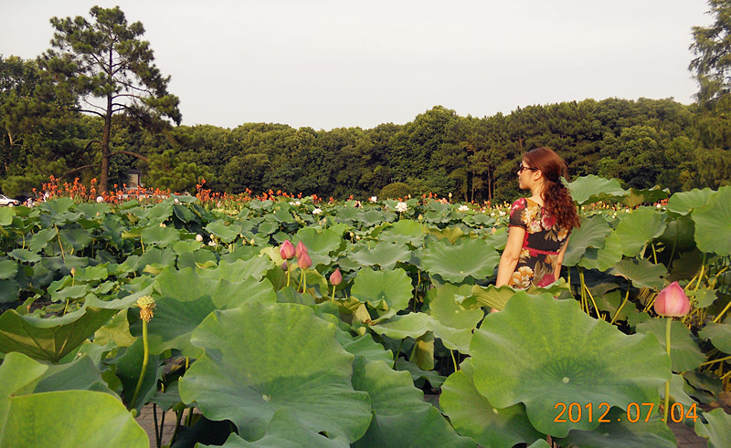 dscn4817_2.jpg