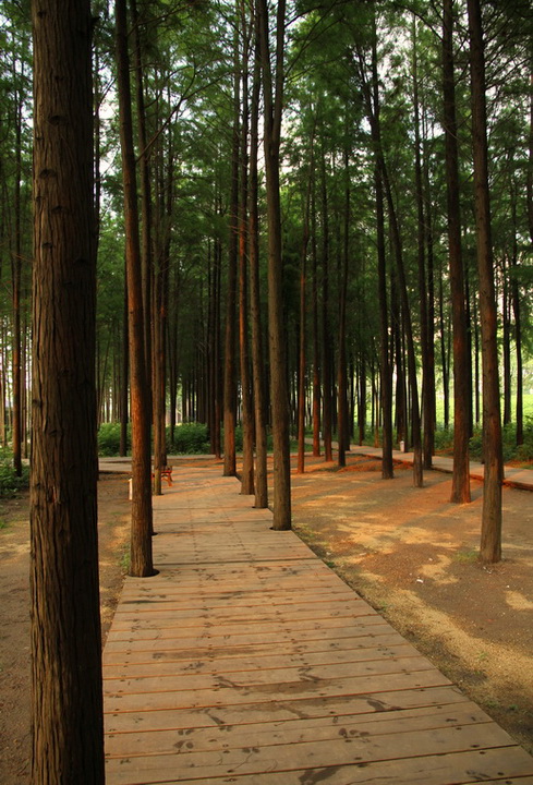 qq6.jpg