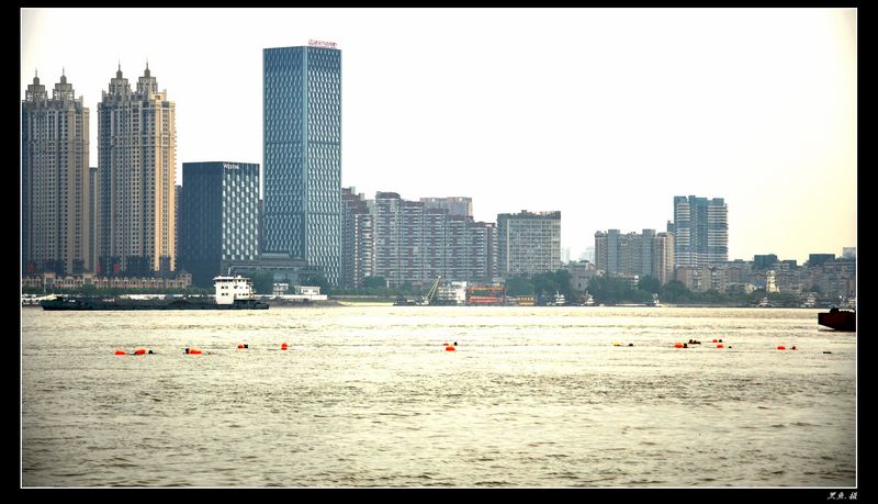 dsc_0147.jpg