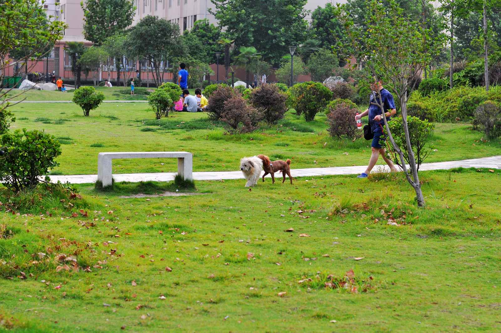 dsc_0442.jpg