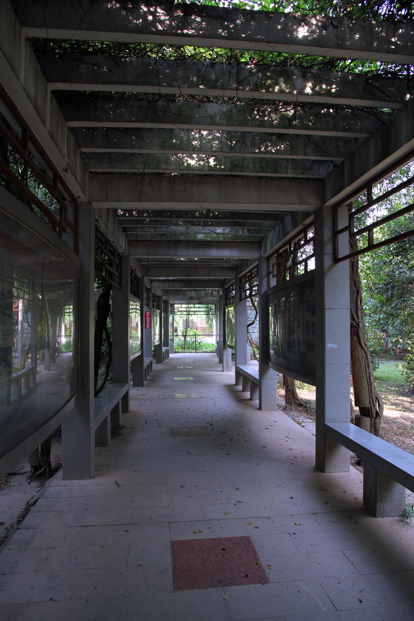 p2.jpg