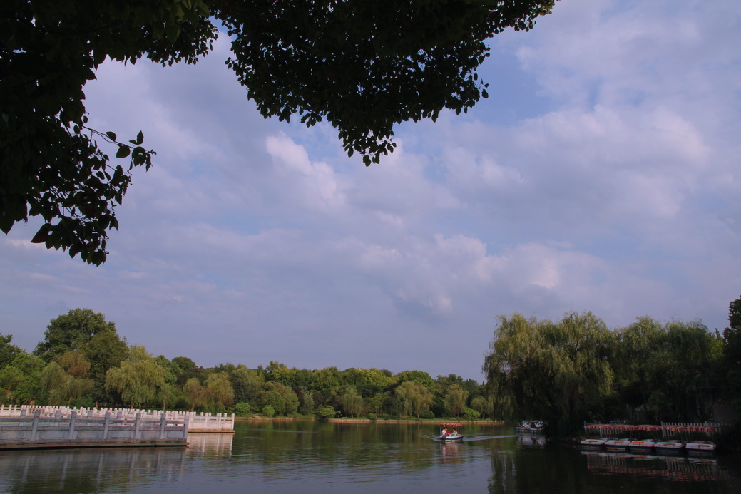 p4.jpg