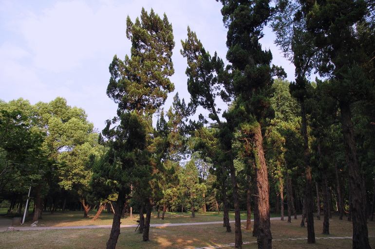 p6.jpg